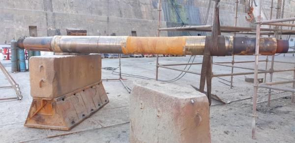 «Арктик шиппинг»