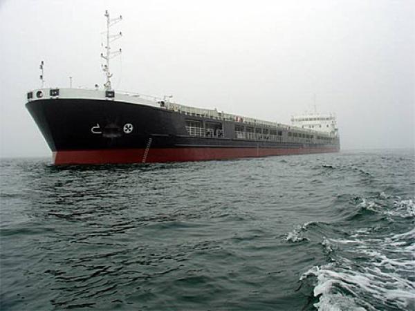 Проект RSD49 сухогруз класса «Волго-Дон-макс»